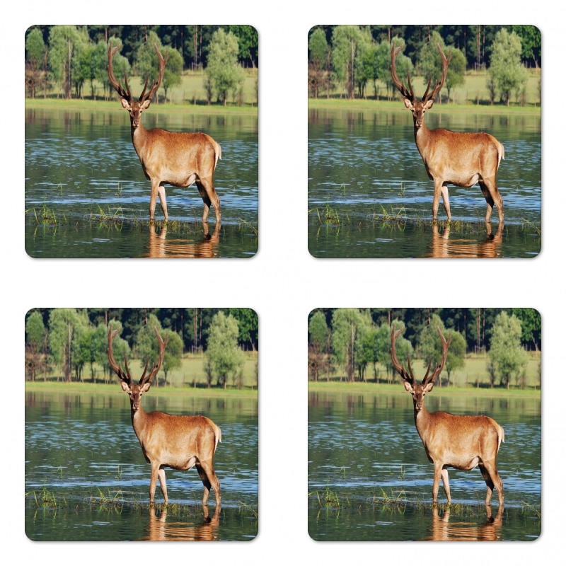 Mountain Animal in Water Coaster Set Of Four