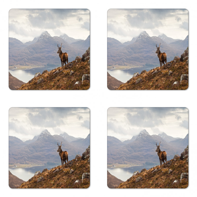 Western Ross Mountain View Coaster Set Of Four