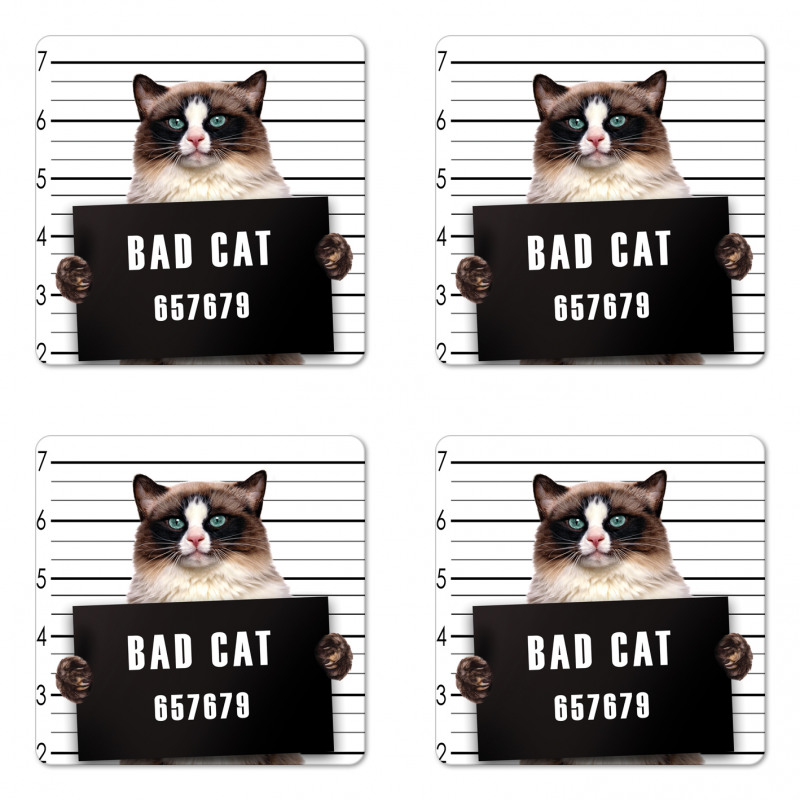 Jail Kitty Under Arrest Coaster Set Of Four