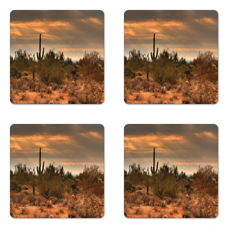 Dramatic Shady Desert Coaster Set Of Four