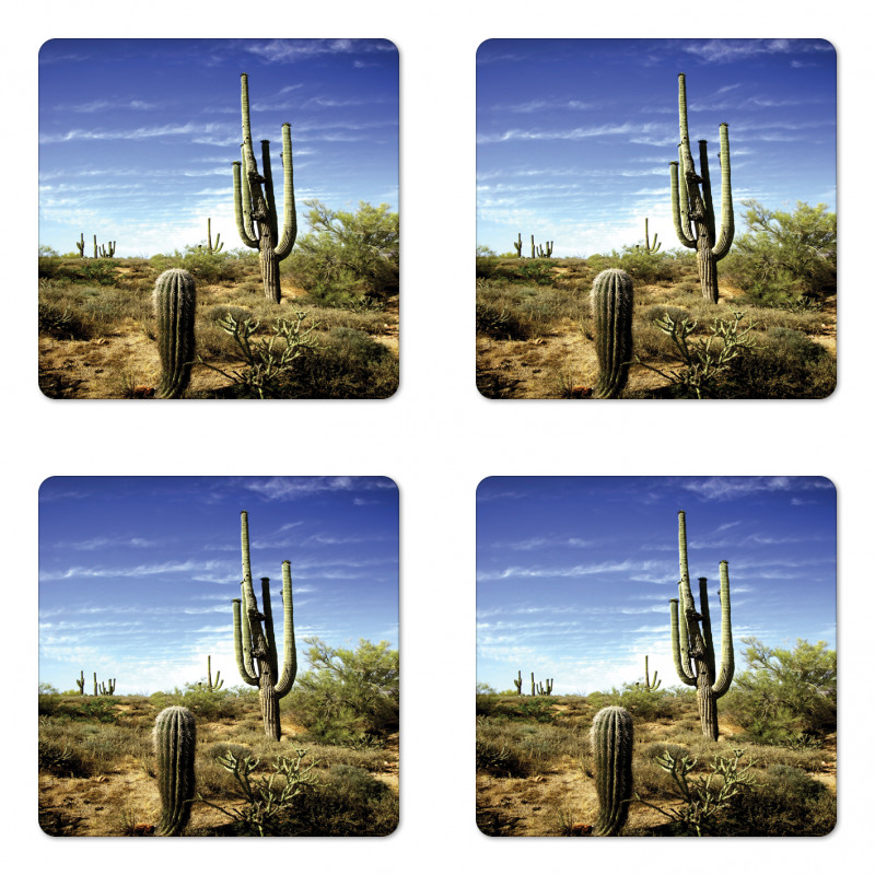 Cactus Spined Leaves Coaster Set Of Four