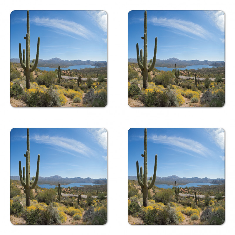 Cactus on the Valley Coaster Set Of Four