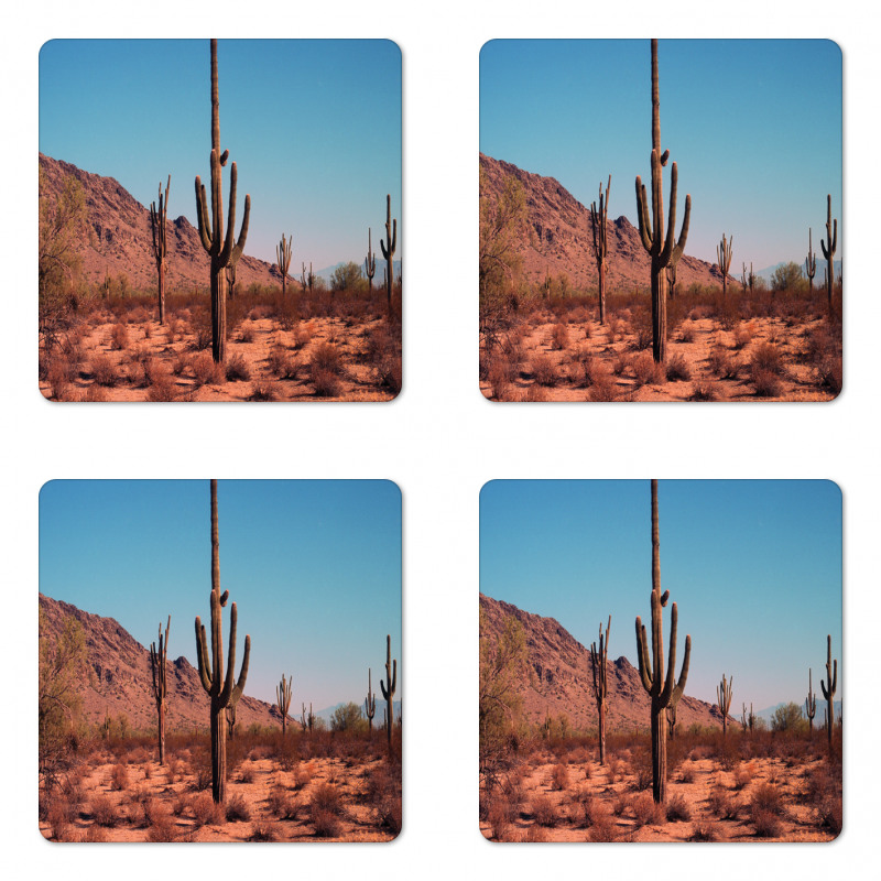 Spines Hardy Plants Coaster Set Of Four