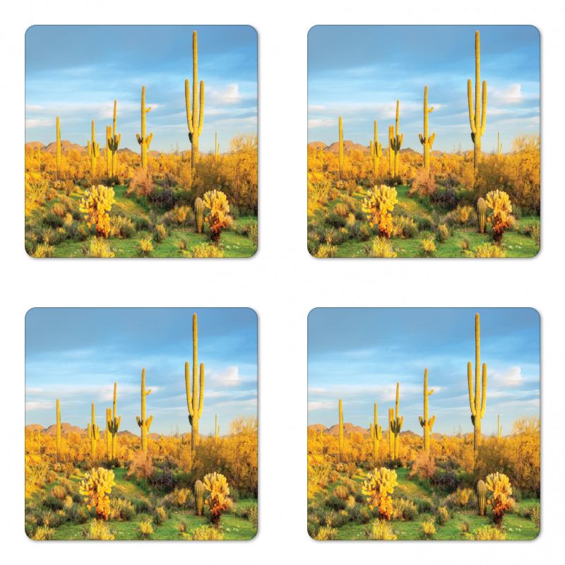 Sonoran Desert Blooms Coaster Set Of Four