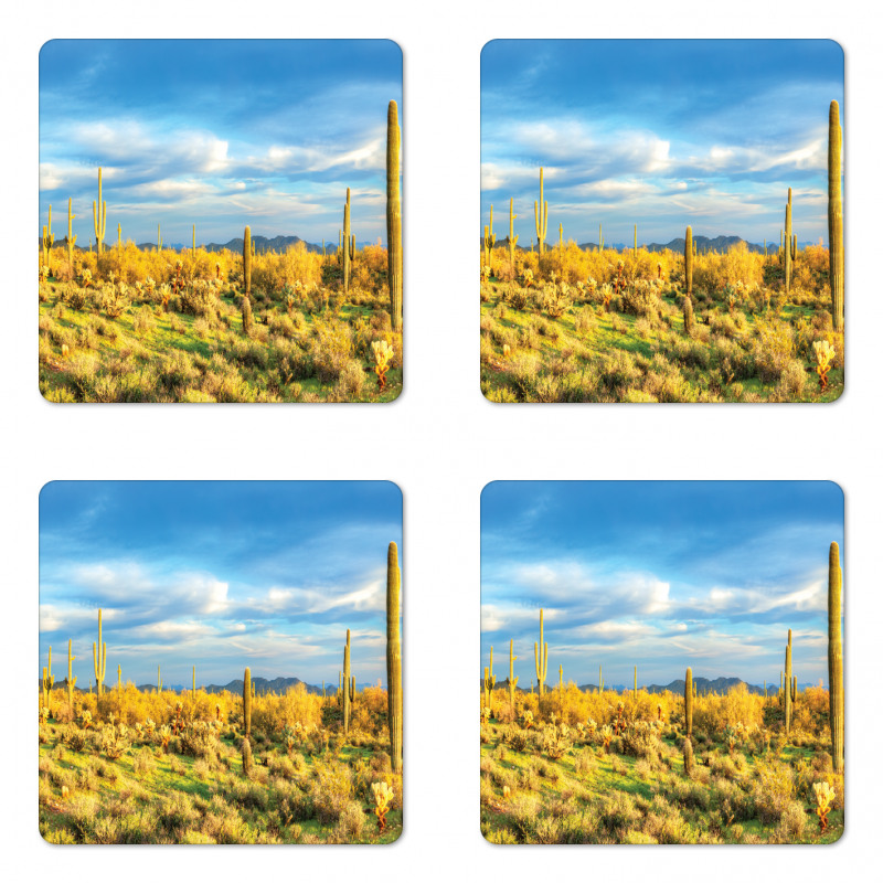 Western Cactus Spikes Coaster Set Of Four