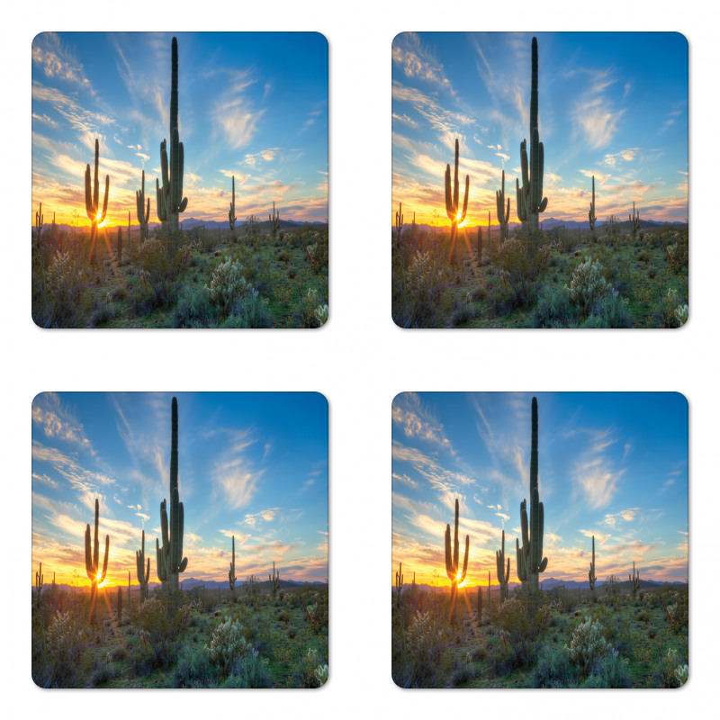 Cactus Noon Coaster Set Of Four