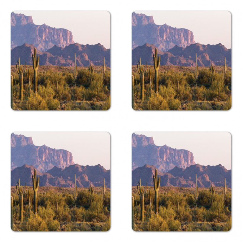 Cactus Mountain in Spring Coaster Set Of Four