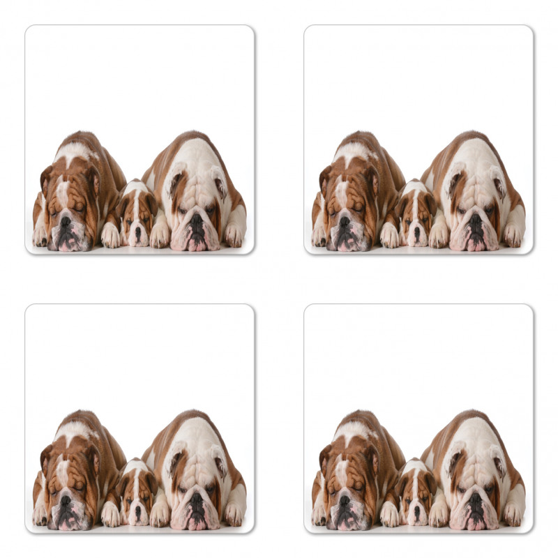 Image of 3 Generations Dogs Coaster Set Of Four