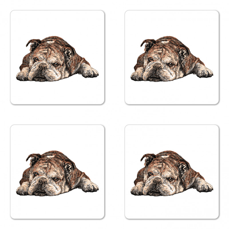 Single Hand Drawn Bulldog Coaster Set Of Four