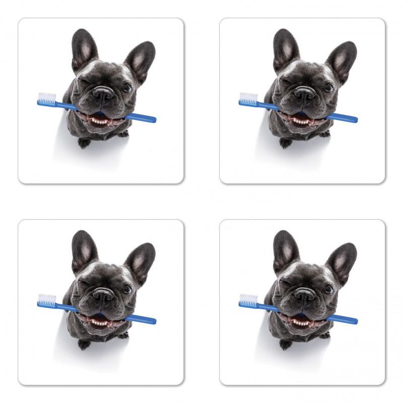 Funny Dog with Toothbrush Coaster Set Of Four