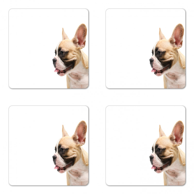 Side View French Doggie Coaster Set Of Four