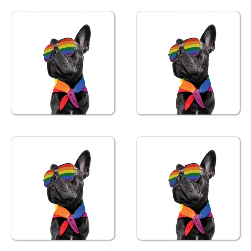 Proud Gay Pet Posing Funny Coaster Set Of Four