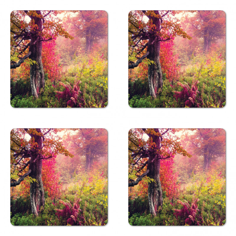 Majestic Autumn Trees Coaster Set Of Four