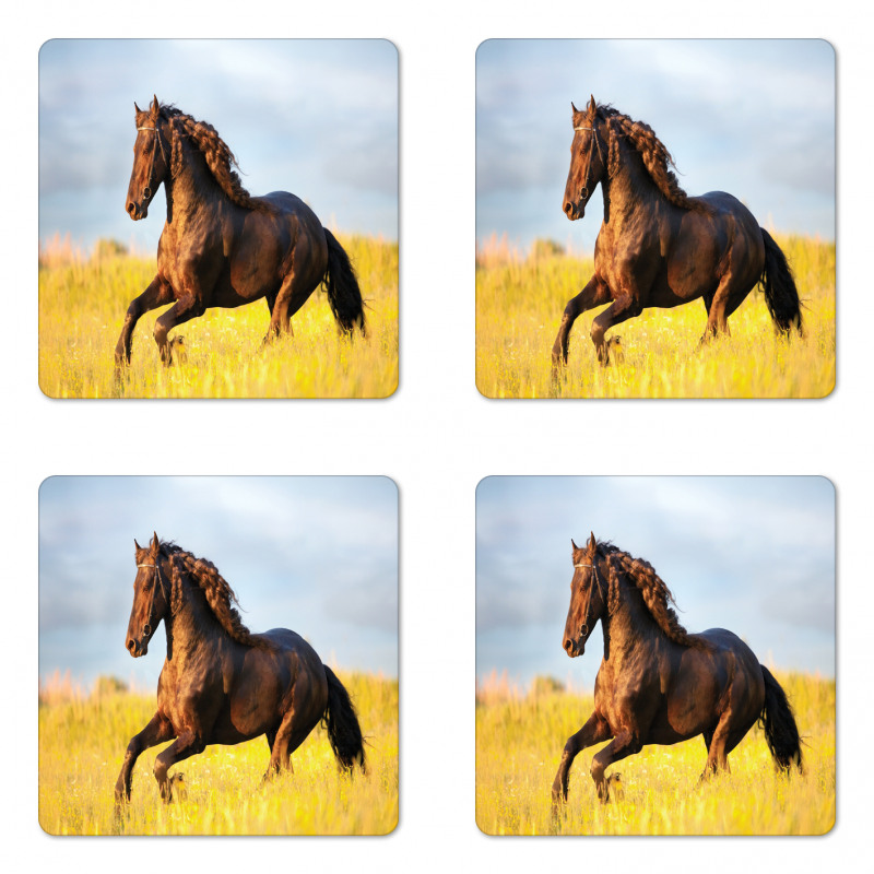 Meadow Mystery Horse Coaster Set Of Four