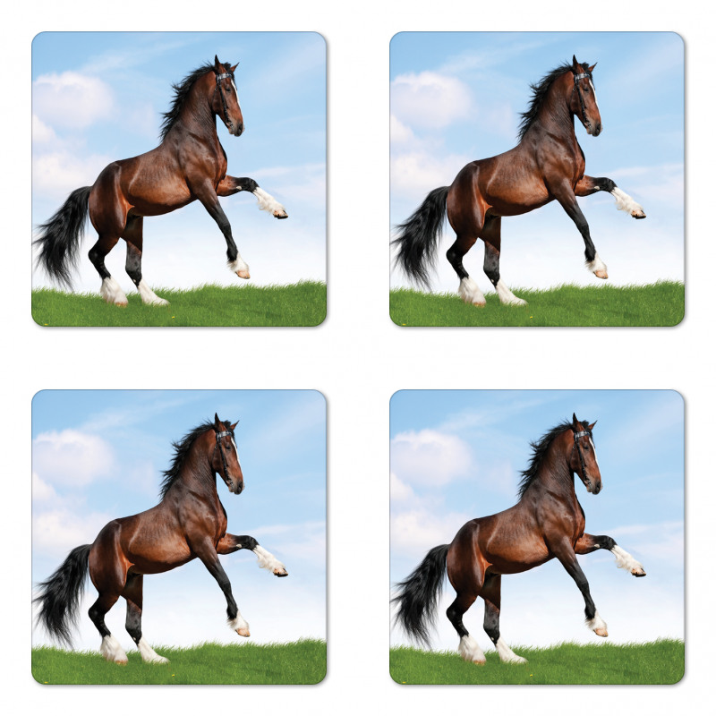 Horse Pacing on Grass Coaster Set Of Four