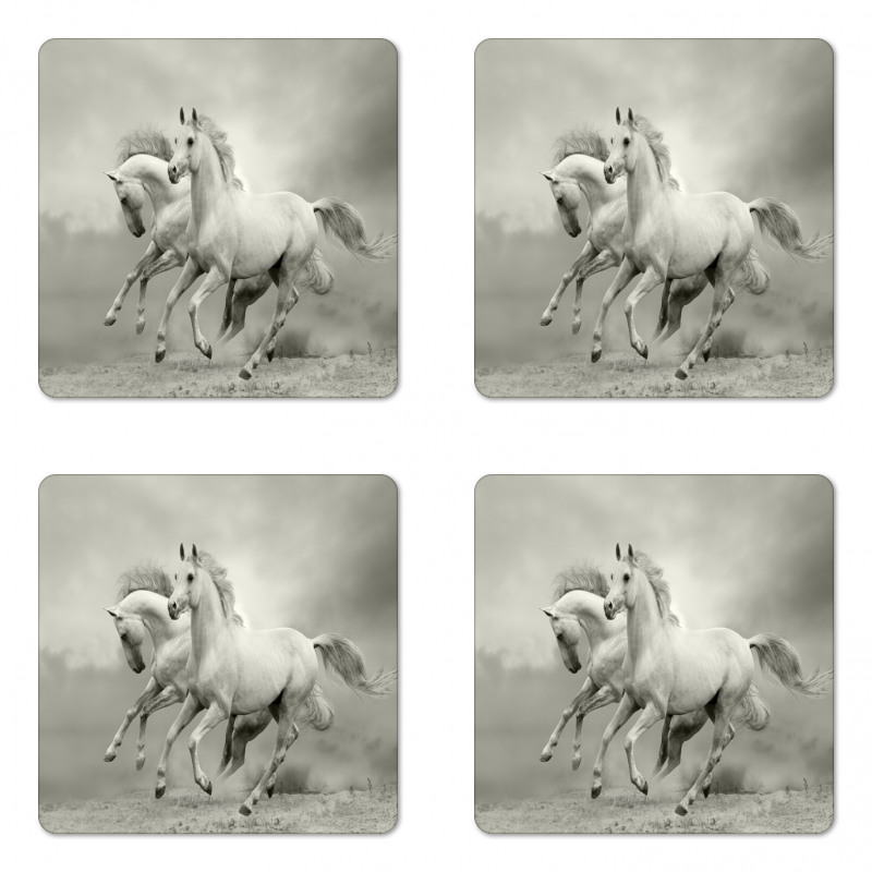 Horse Freedom Theme Coaster Set Of Four