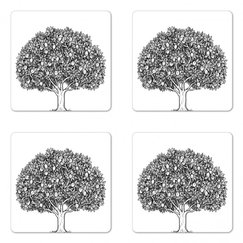 Engraved Style Apple Tree Coaster Set Of Four