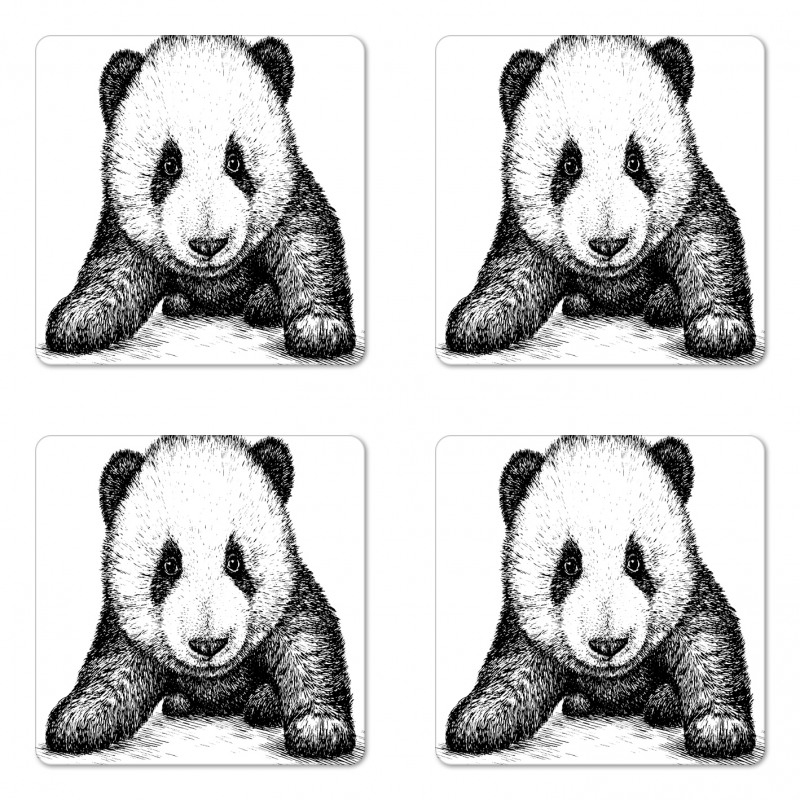 Baby Panda Bear Sketch Coaster Set Of Four