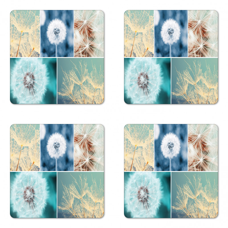 Dandelions Nature Coaster Set Of Four