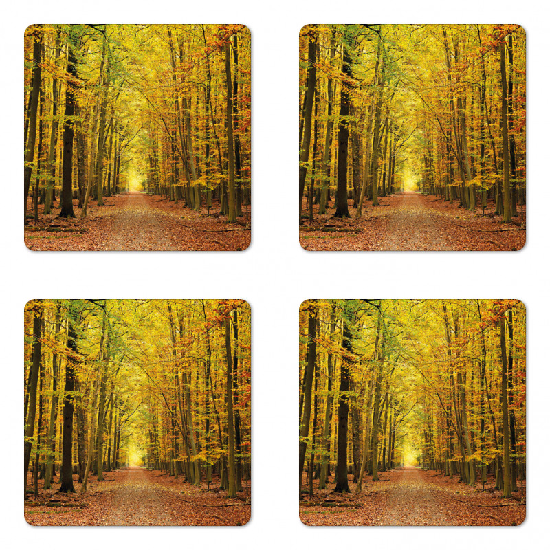 Pathway into the Forest Coaster Set Of Four