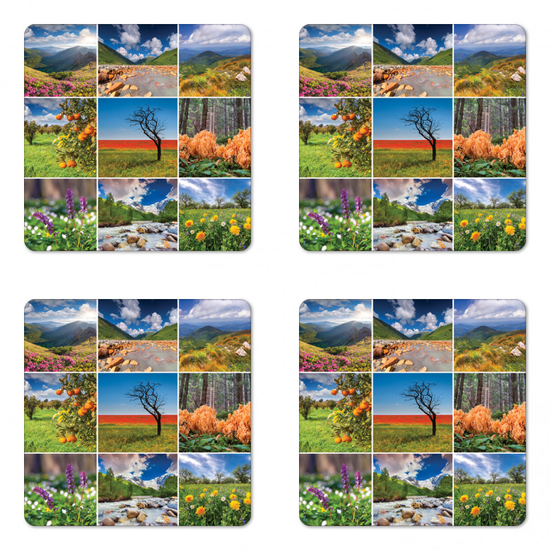 Springtime Countryside Coaster Set Of Four