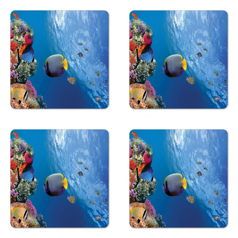 Underwater Fish Sea Coaster Set Of Four