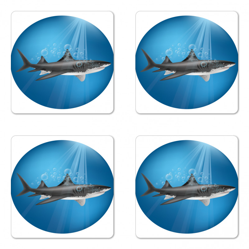 Shark Underwater Hunter Coaster Set Of Four