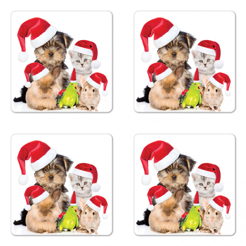 Christmas Theme Pets Coaster Set Of Four