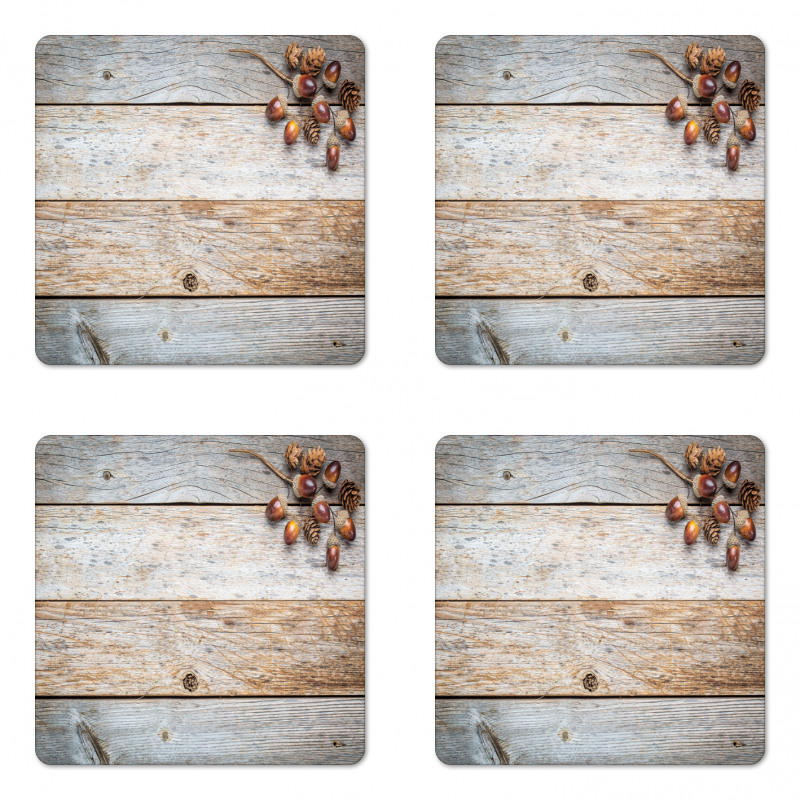 Acorns and Cons Timber Coaster Set Of Four