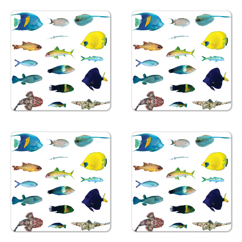 Marine Life Creatures Coaster Set Of Four