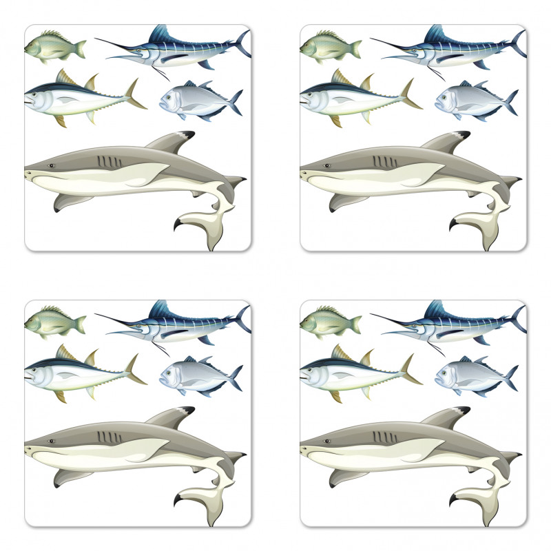 Collage of Aquatic Animal Coaster Set Of Four