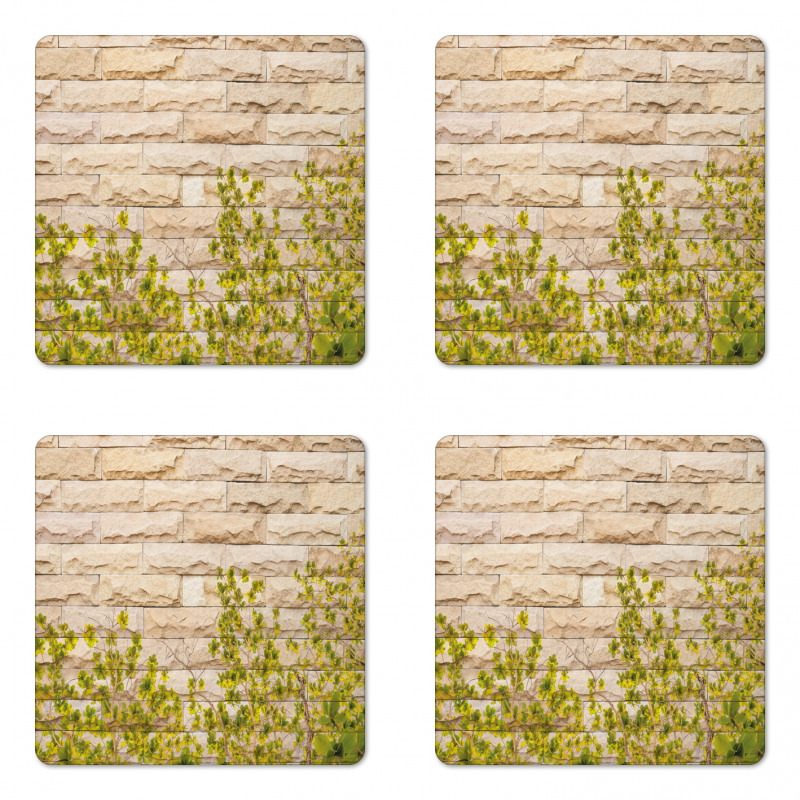 Brick Wall with Leaf Coaster Set Of Four