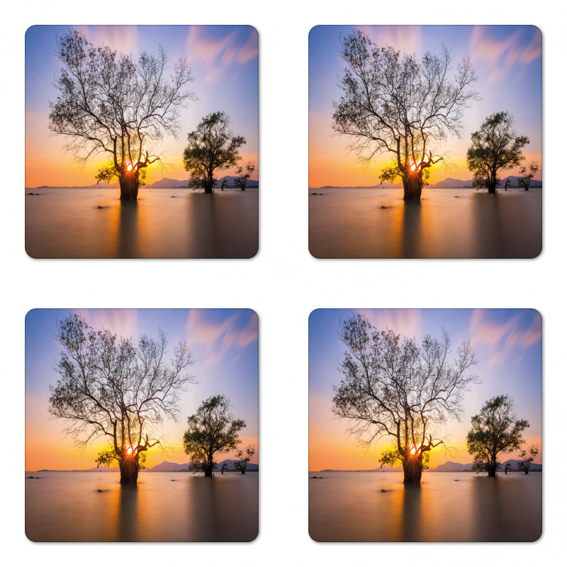 Autumn Trees View Habitat Coaster Set Of Four