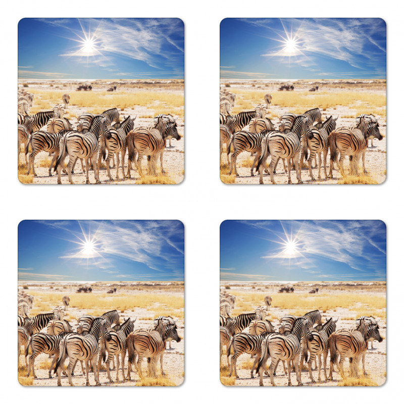 Africa Safari Park Coaster Set Of Four