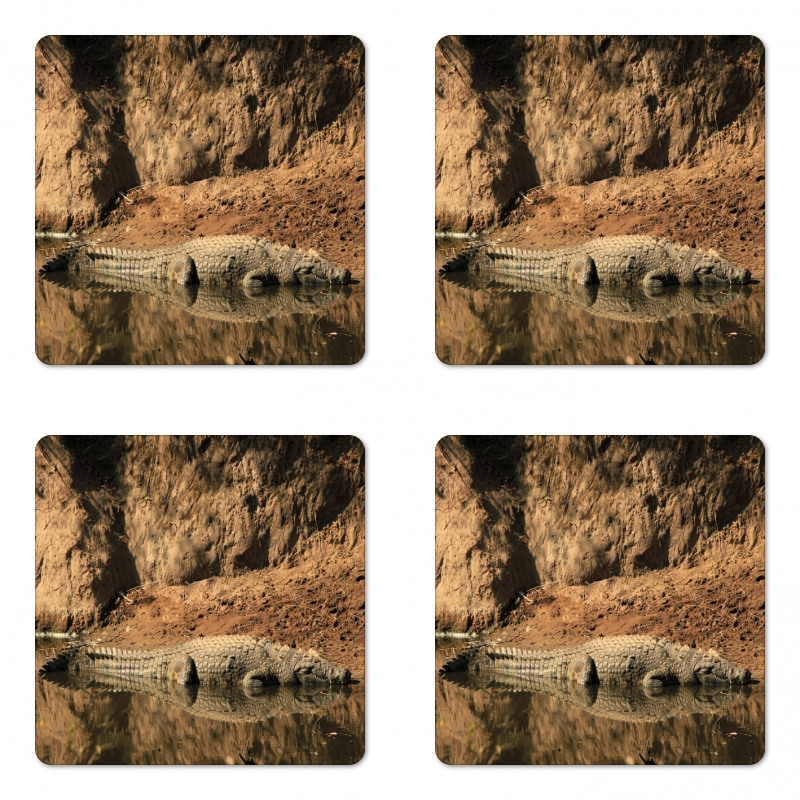 Crocodile Hunt in Wild Coaster Set Of Four