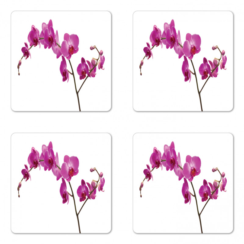 Wild Orchids Petals Coaster Set Of Four