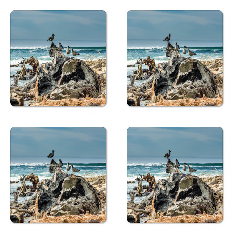 Driftwood Shore Seagull Coaster Set Of Four