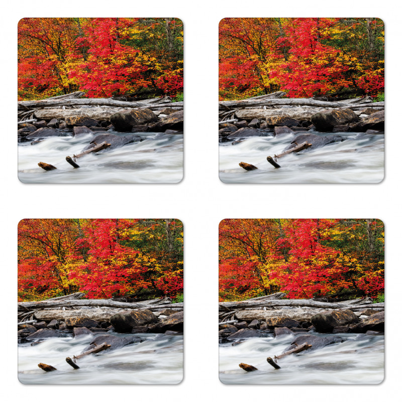 Fall Forest Driftwood Coaster Set Of Four