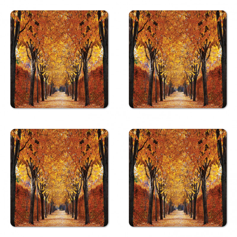 Pathway in the Woods Coaster Set Of Four