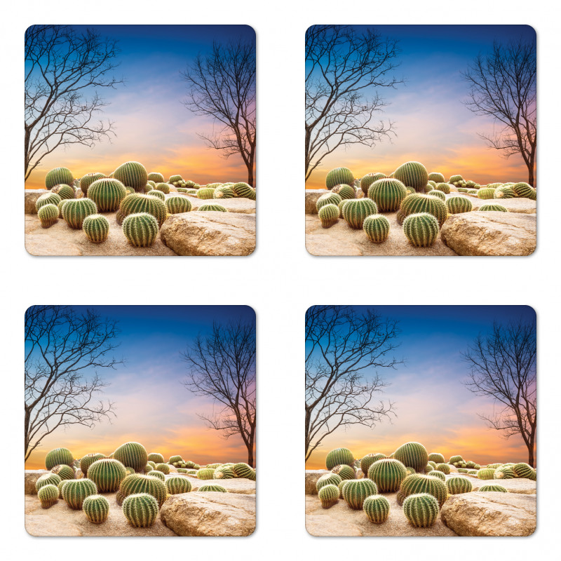 Cactus Balls on Mountain Coaster Set Of Four