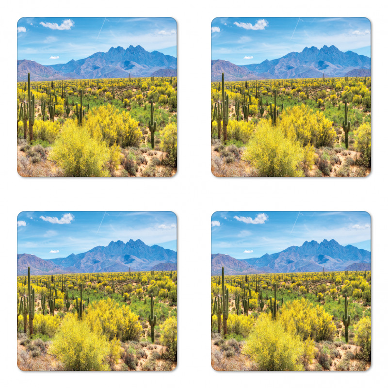 Landscape of Desert Coaster Set Of Four