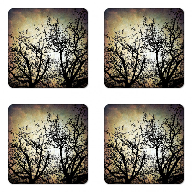 Grunge Branches Twilight Coaster Set Of Four