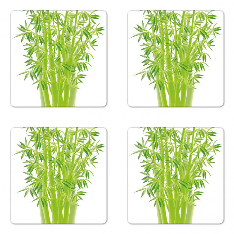 Bamboo Stems with Leaves Coaster Set Of Four