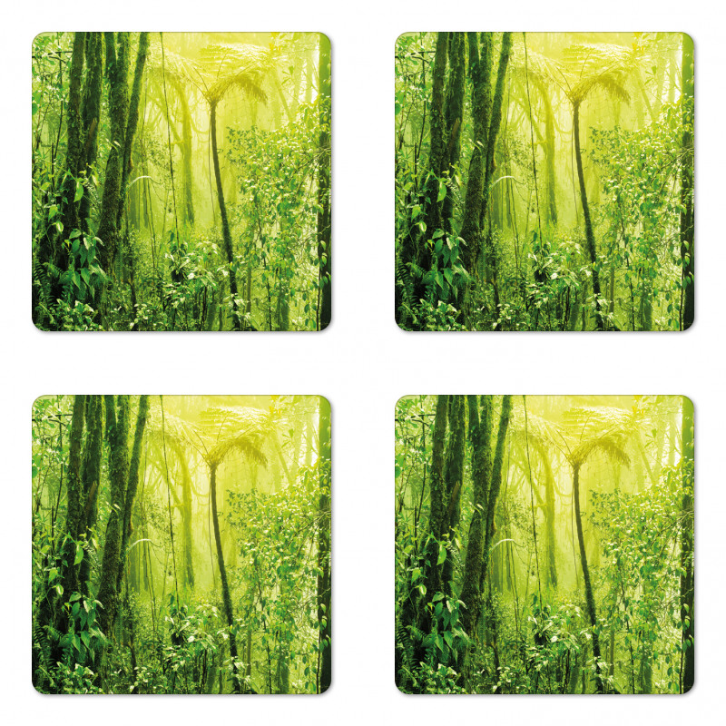 Tropical Amazon Forest Coaster Set Of Four