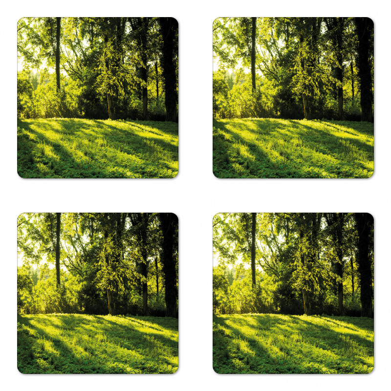 Rising Sun Beams Forest Coaster Set Of Four