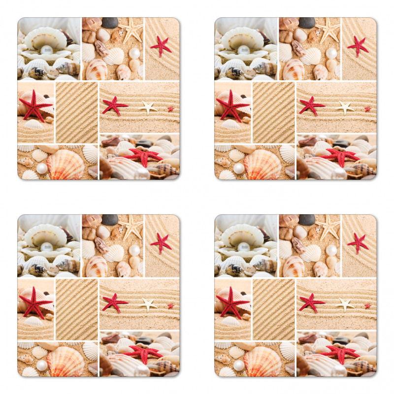 Seashells Starfishes Coaster Set Of Four