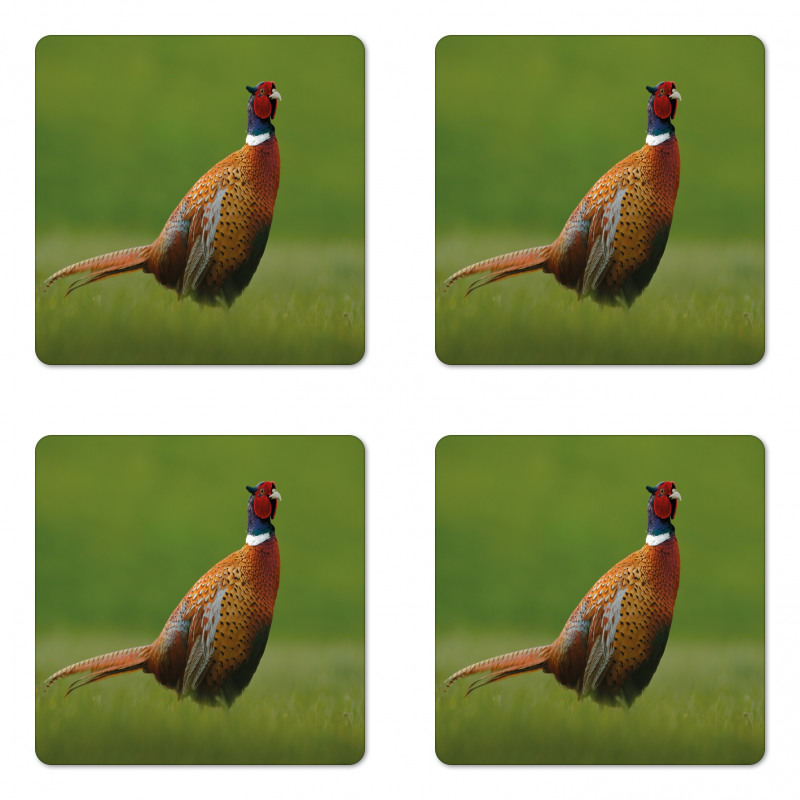 Pheasant Long Tail Meadow Coaster Set Of Four