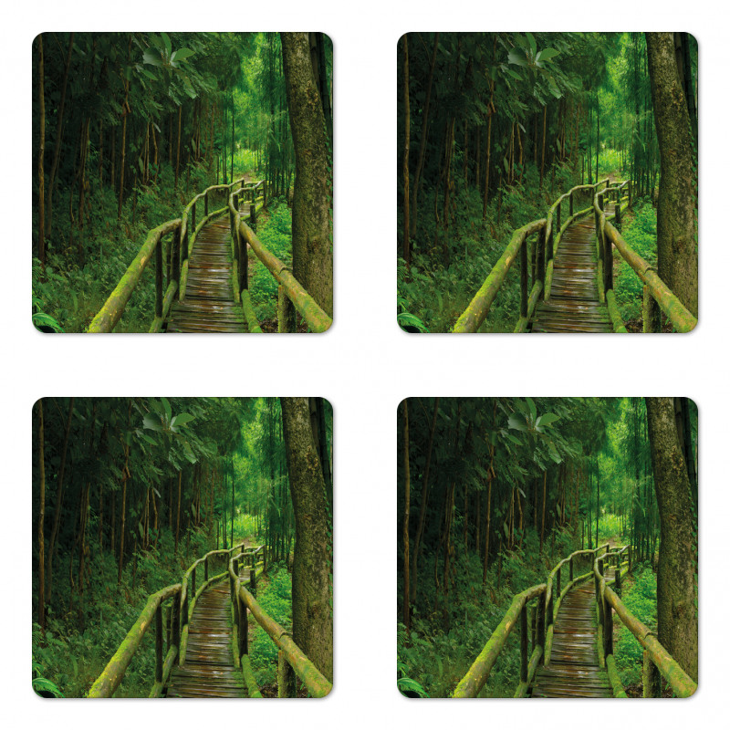 Rainforest in Thailand Coaster Set Of Four