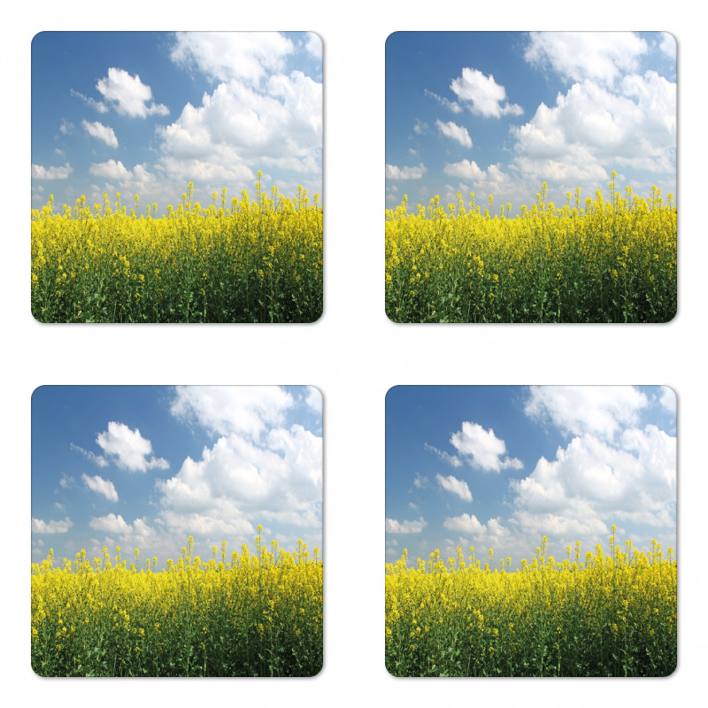 Rapeseed Field Germany Coaster Set Of Four