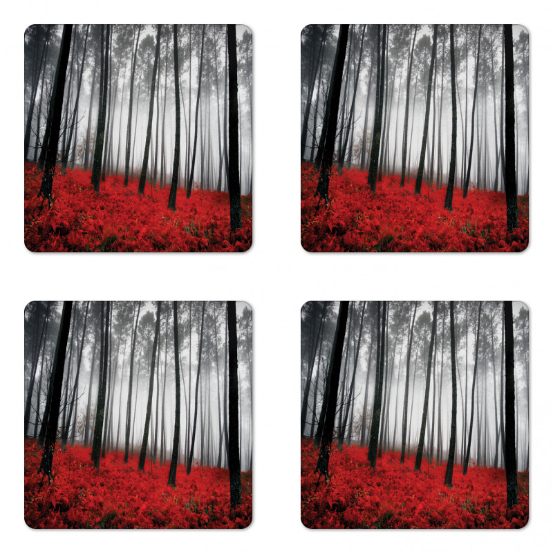 Mystical Foggy Woodland Coaster Set Of Four